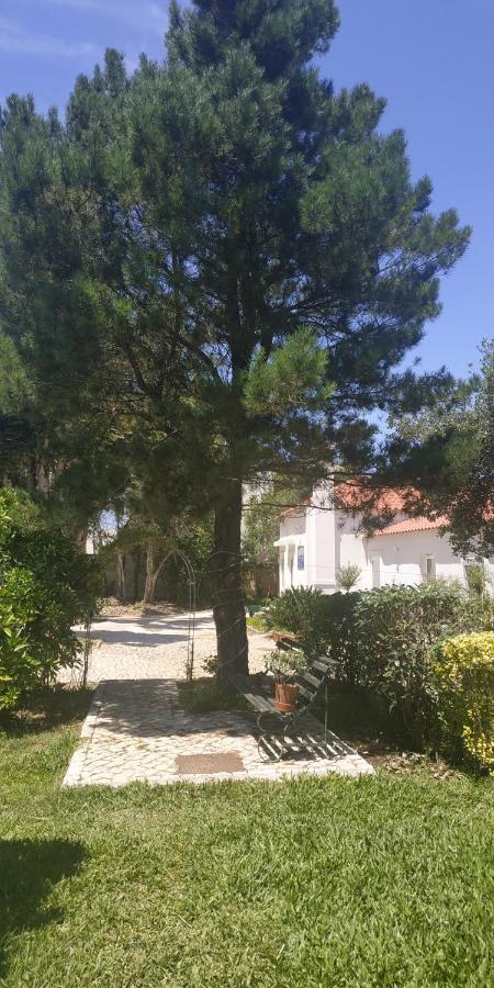 Affittacamere Casa De Arcos Anadia Esterno foto