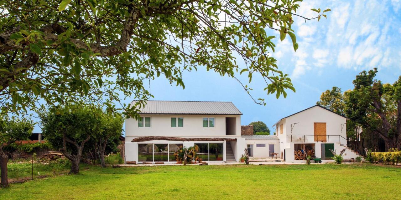 Affittacamere Casa De Arcos Anadia Esterno foto
